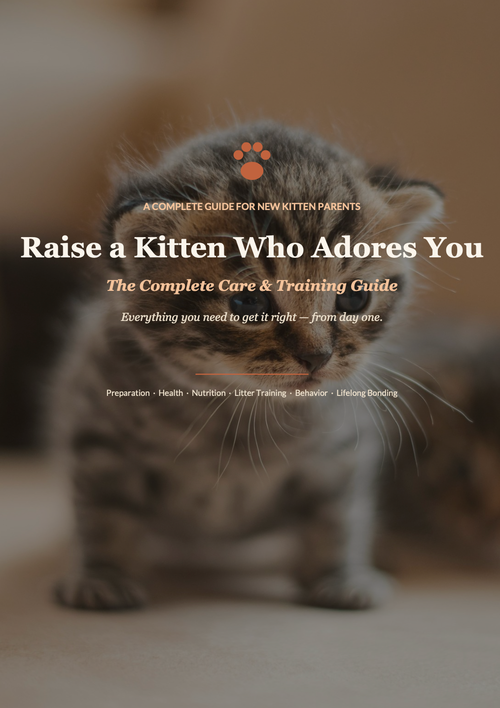 The Complete Kitten Care Guide